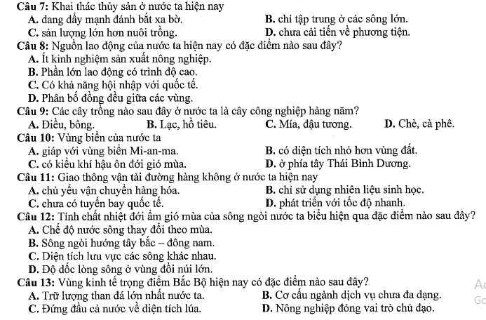 Đề thi