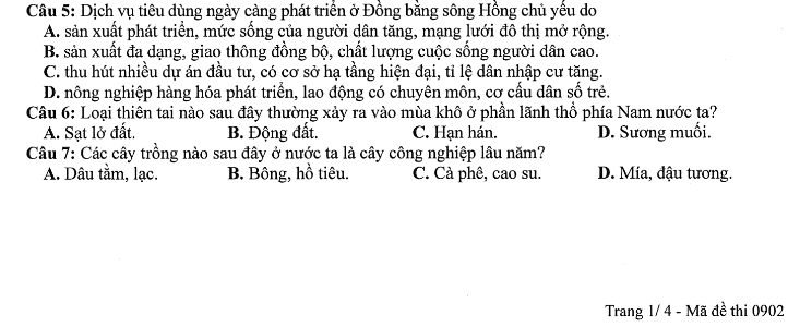 Đề thi