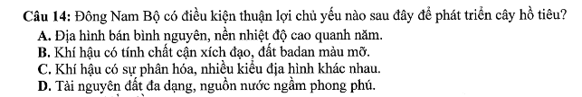 Đề thi