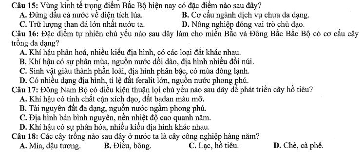 Đề thi